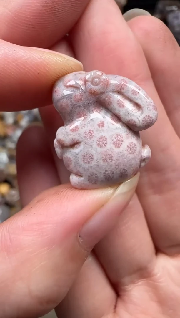 颈饰未镶嵌硅化珊瑚（珊瑚玉）942