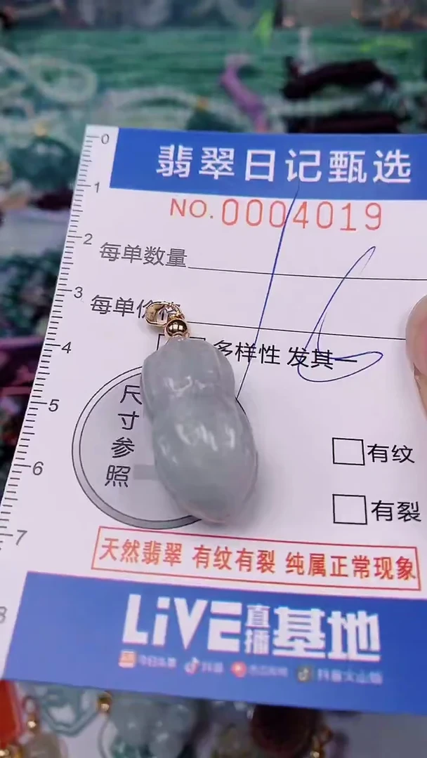 翡翠未镶嵌颈饰00004019