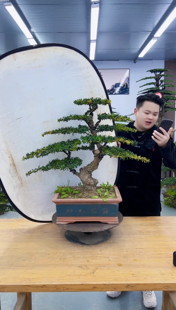 以实际为准00000000000