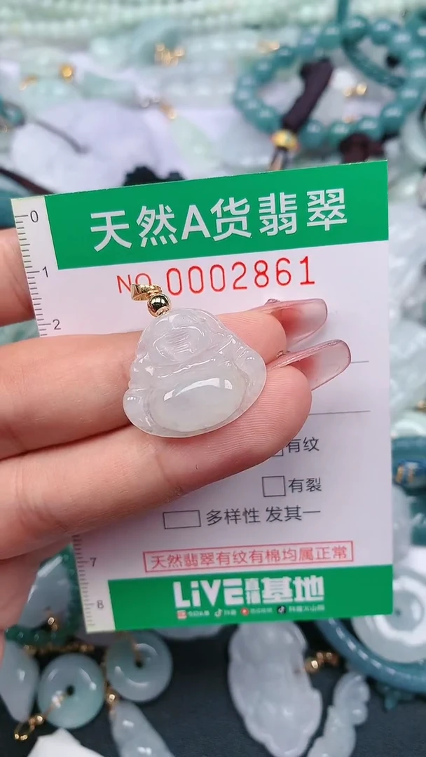 颈饰未镶嵌翡翠.0002861