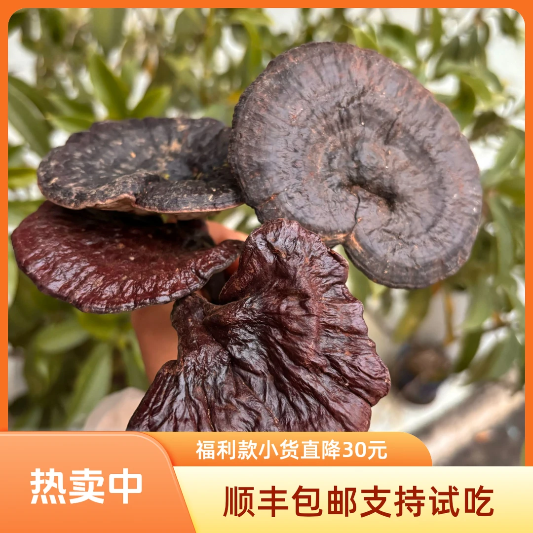 （紫灵芝小货福利）贵州黔芝谷灵芝干货小朵滋补煲汤煮水泡酒必备