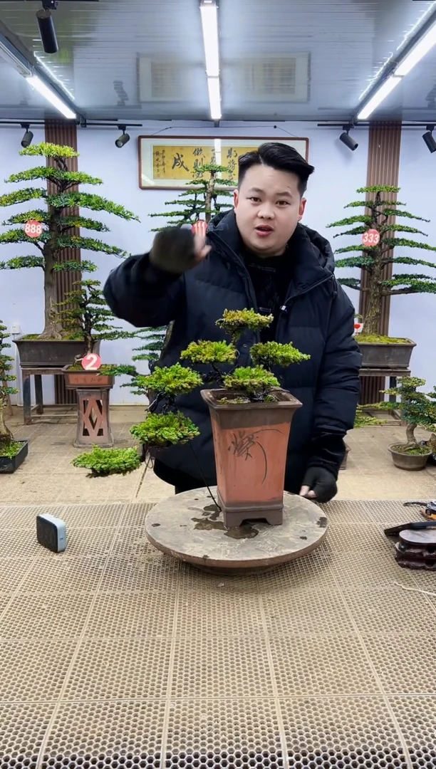 【闪购商品】00000000