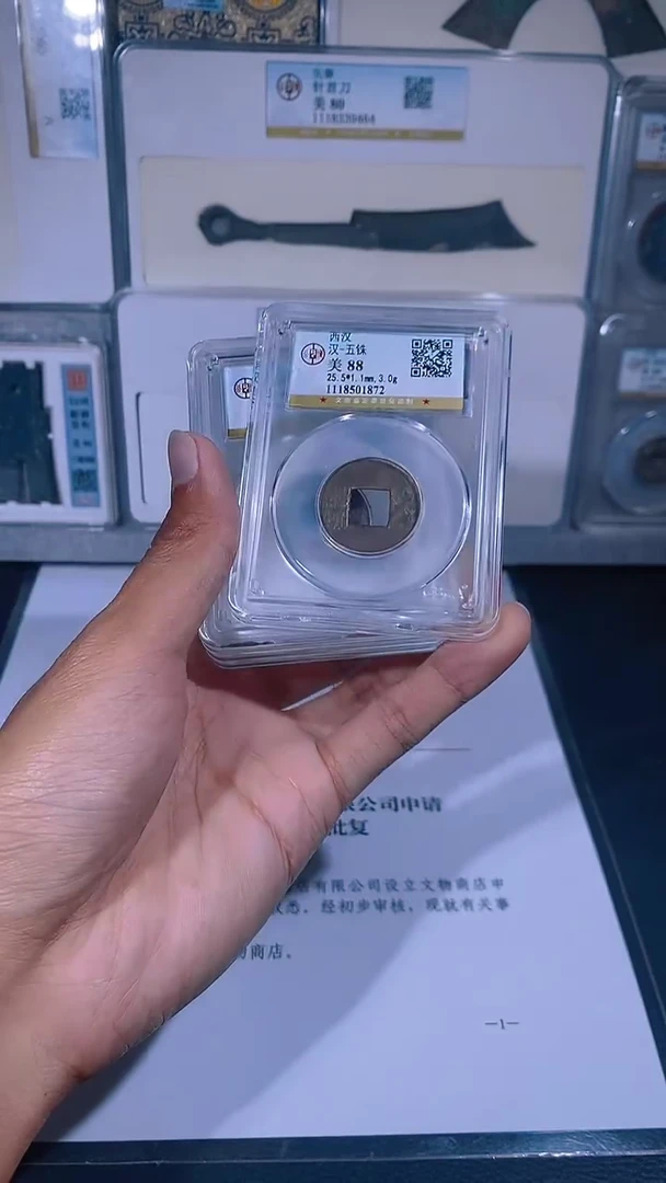 铜琪珍   西汉五铢一枚
