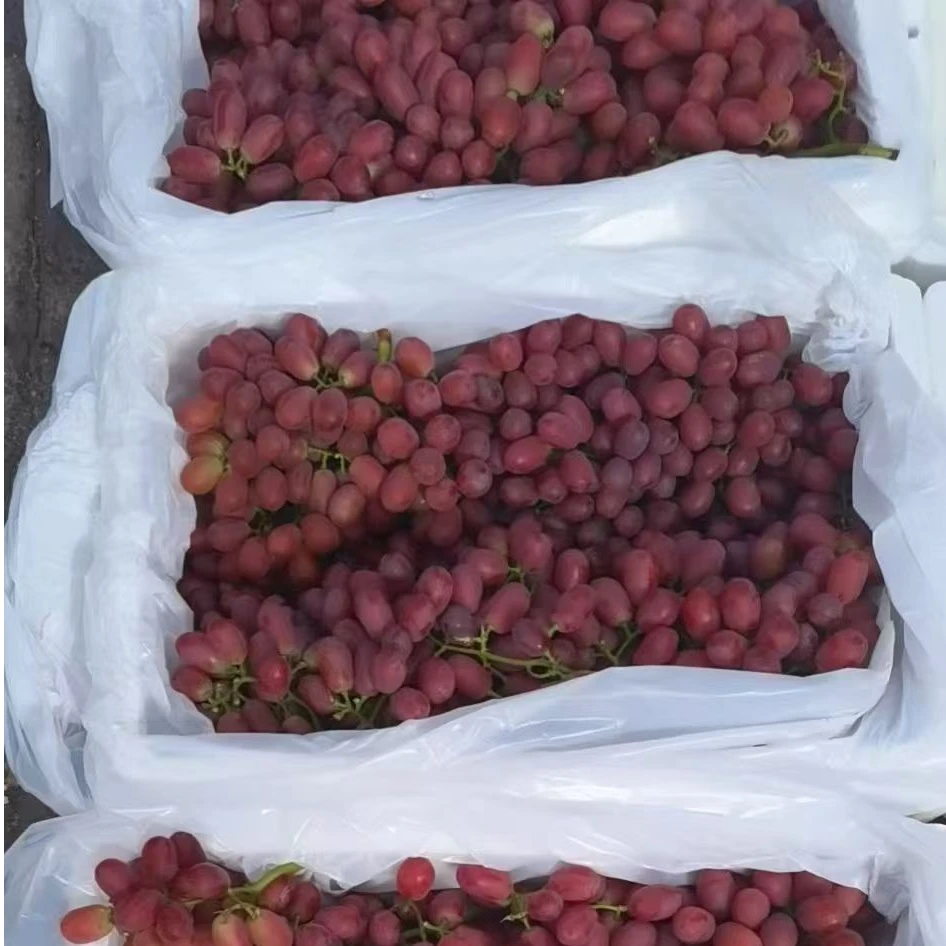 【鲜果】无籽红提葡萄250g/500g/1000g云南省