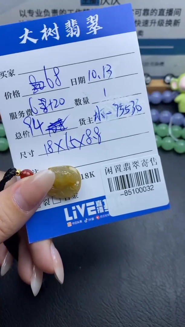 颈饰未镶嵌翡翠遇**依-85100032