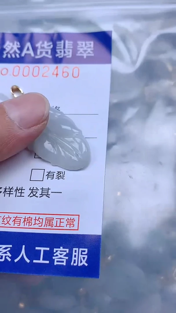 翡翠未镶嵌吊坠(不含链)1