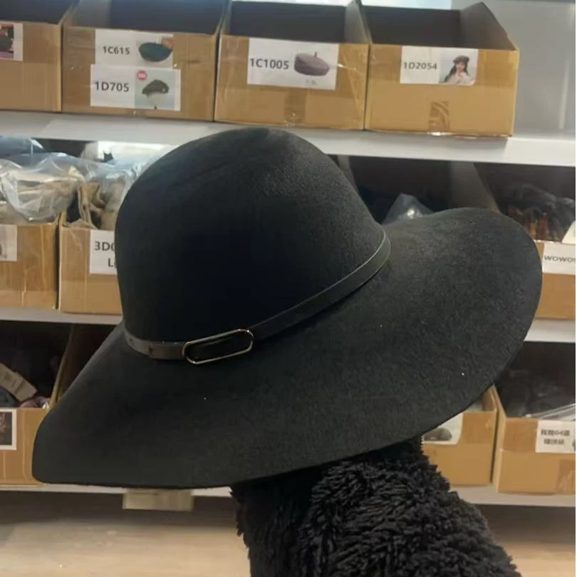 简简单单的一个帽子 d608