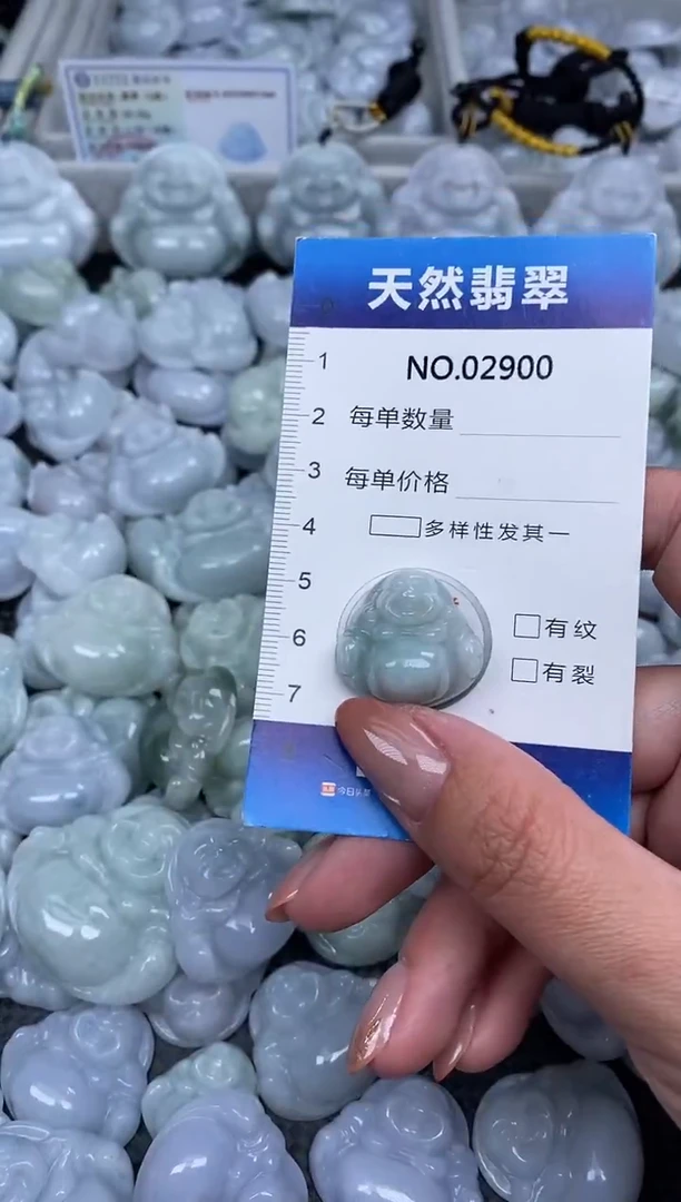 颈饰未镶嵌翡翠纯天然A货缅翡2900