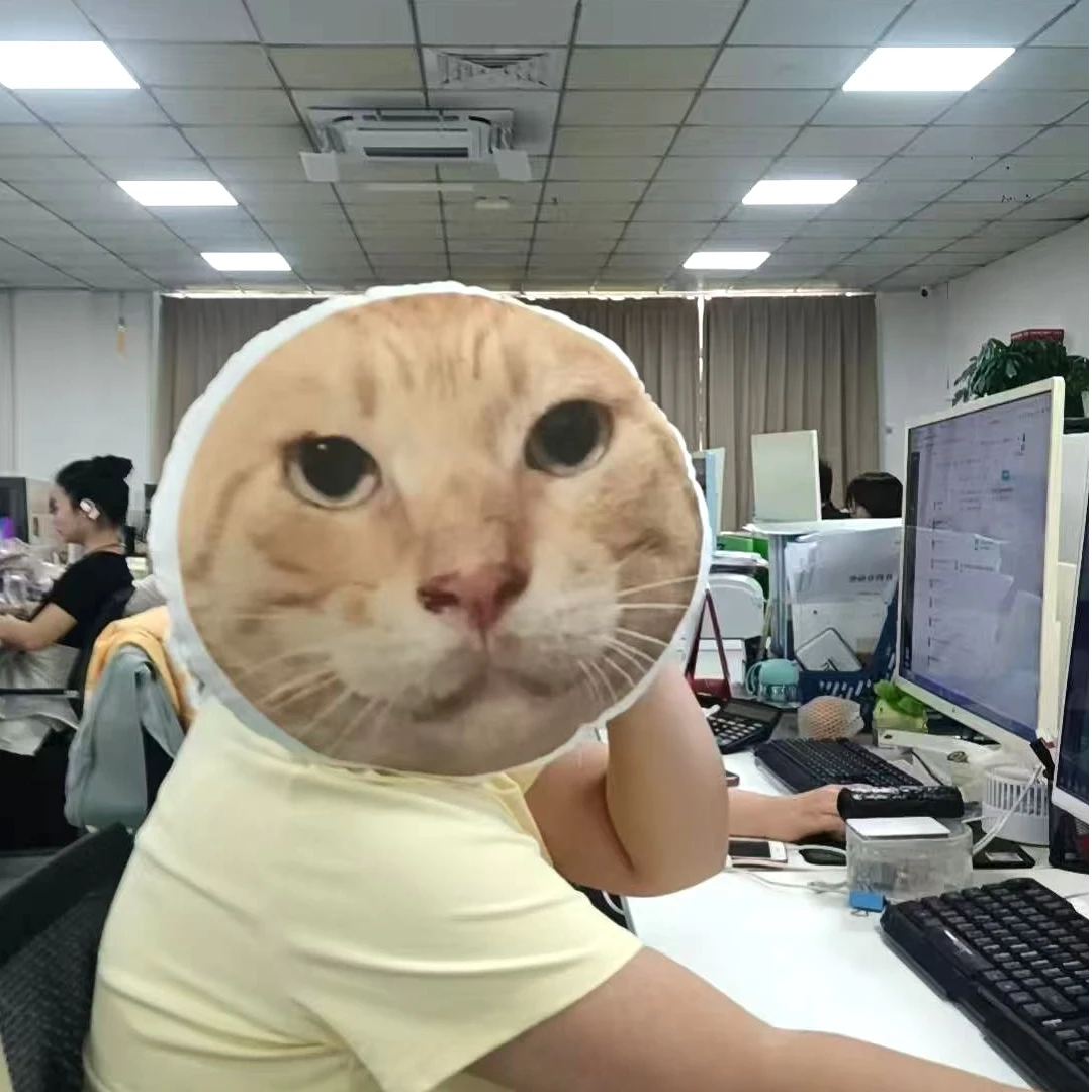 圆头耄耋双面抱枕