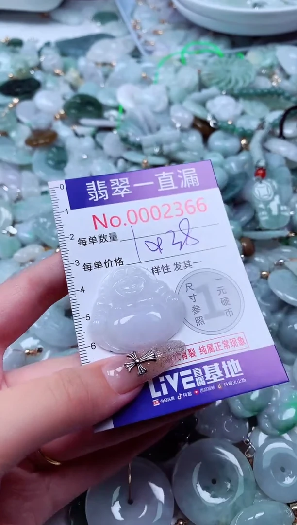 翡翠未镶嵌吊坠(不含链)2366