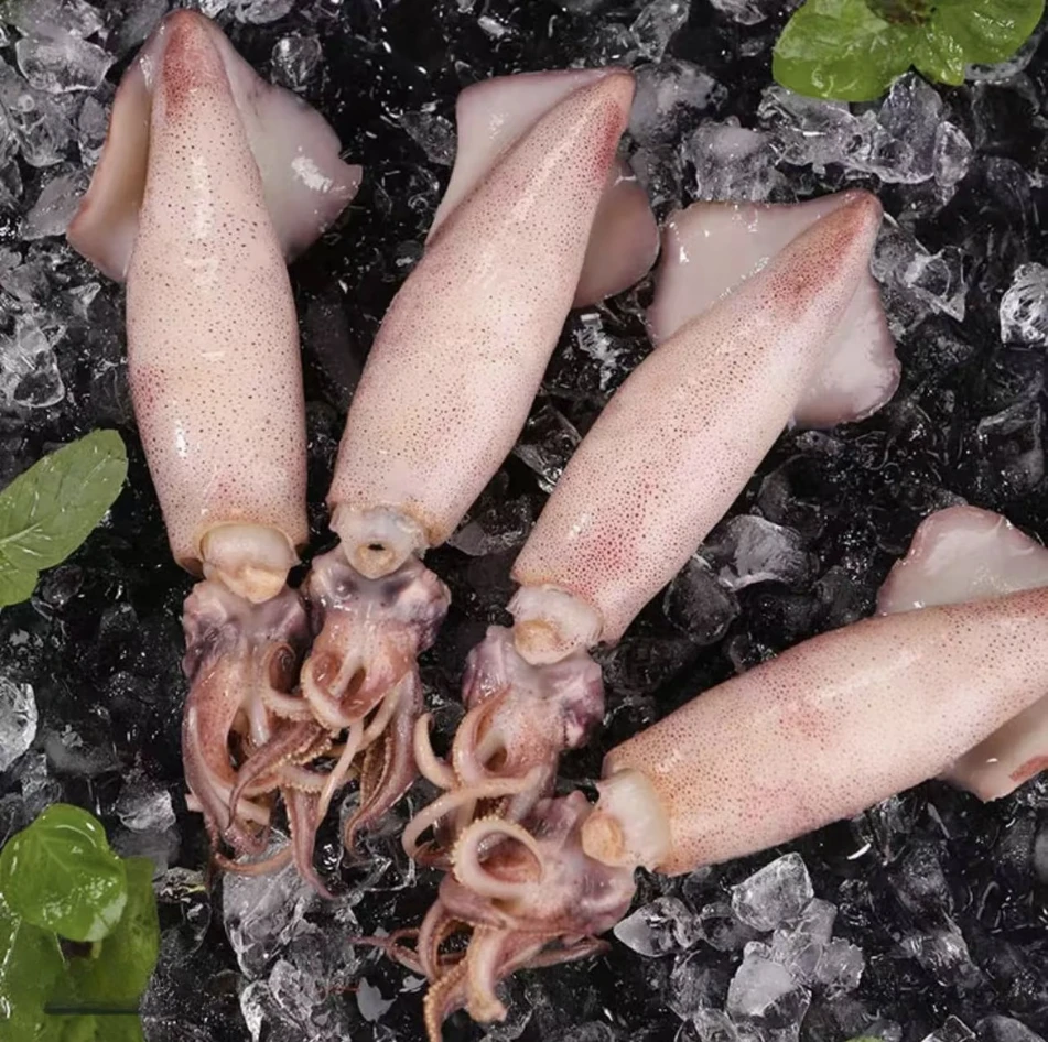 新鲜全母海兔  满籽膏10头/450克/包 到手4包 送料包