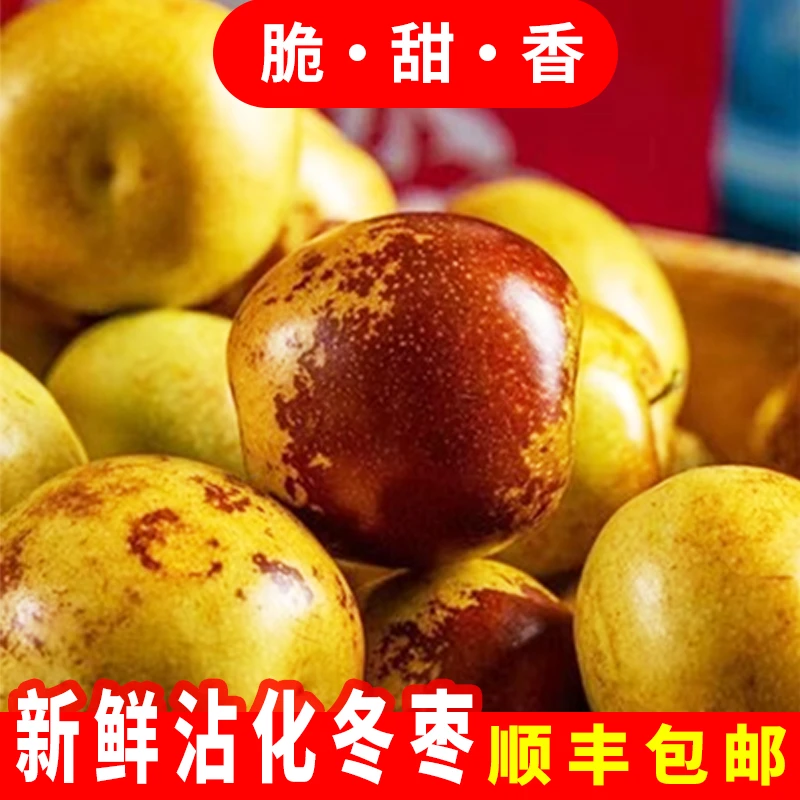 【西藏专享】山东沾化冬枣5斤+福建三红柚2颗顺丰包邮