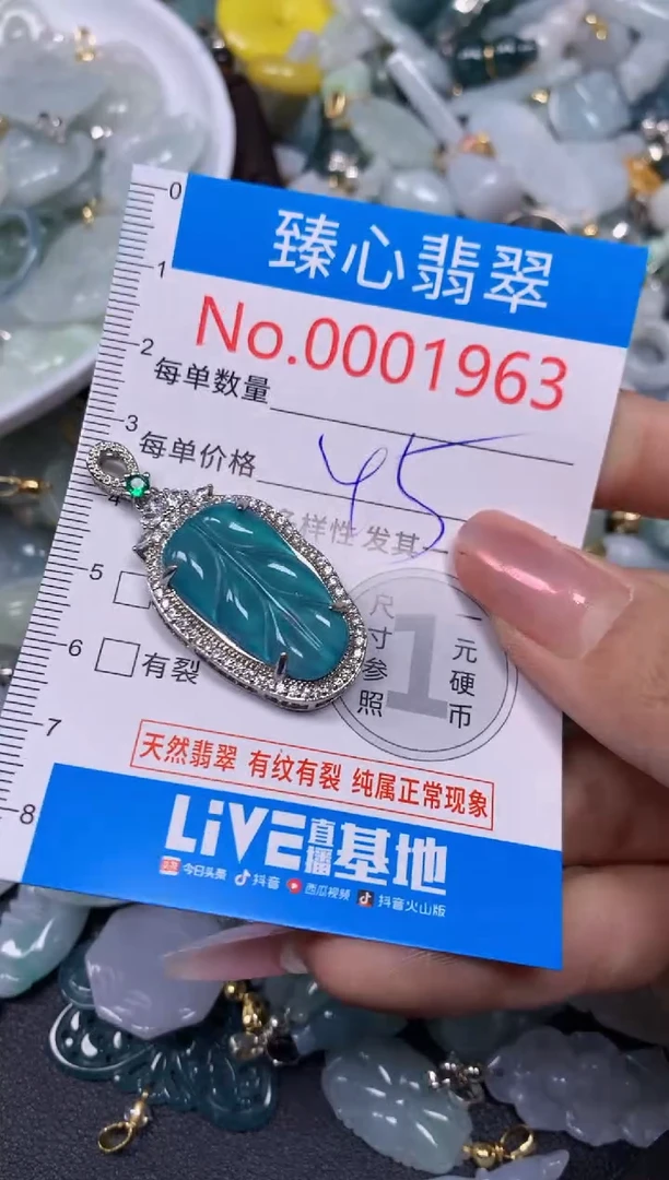 【闪购商品】翡翠颈饰未镶嵌含绳0001963