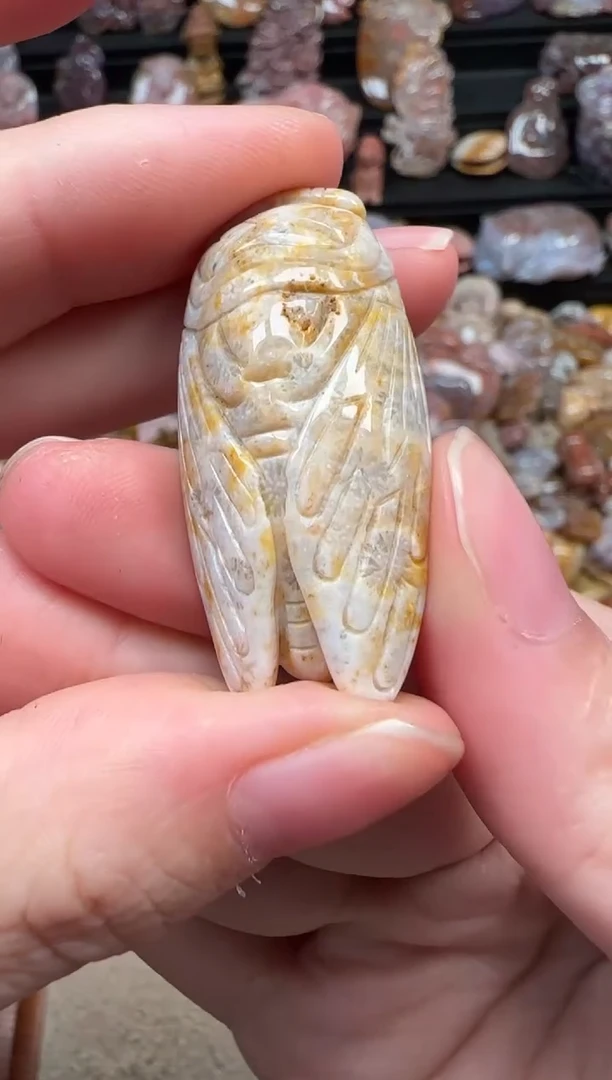 颈饰未镶嵌硅化珊瑚（珊瑚玉）256