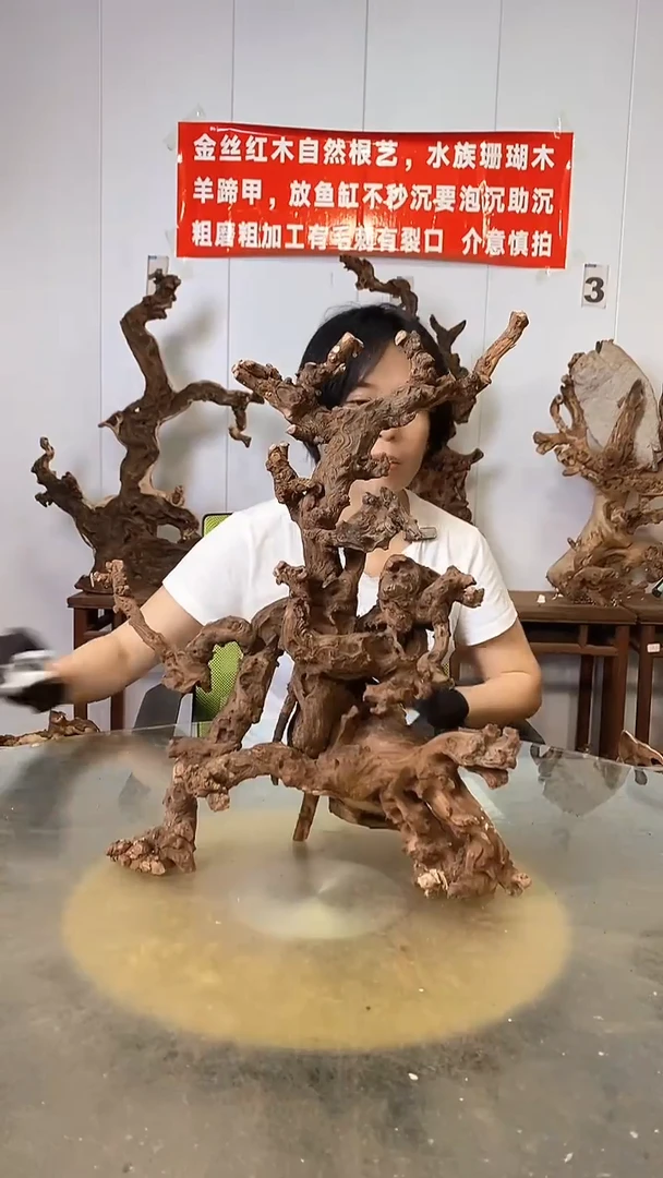 香榧木孤*汉金丝红木   羊蹄甲