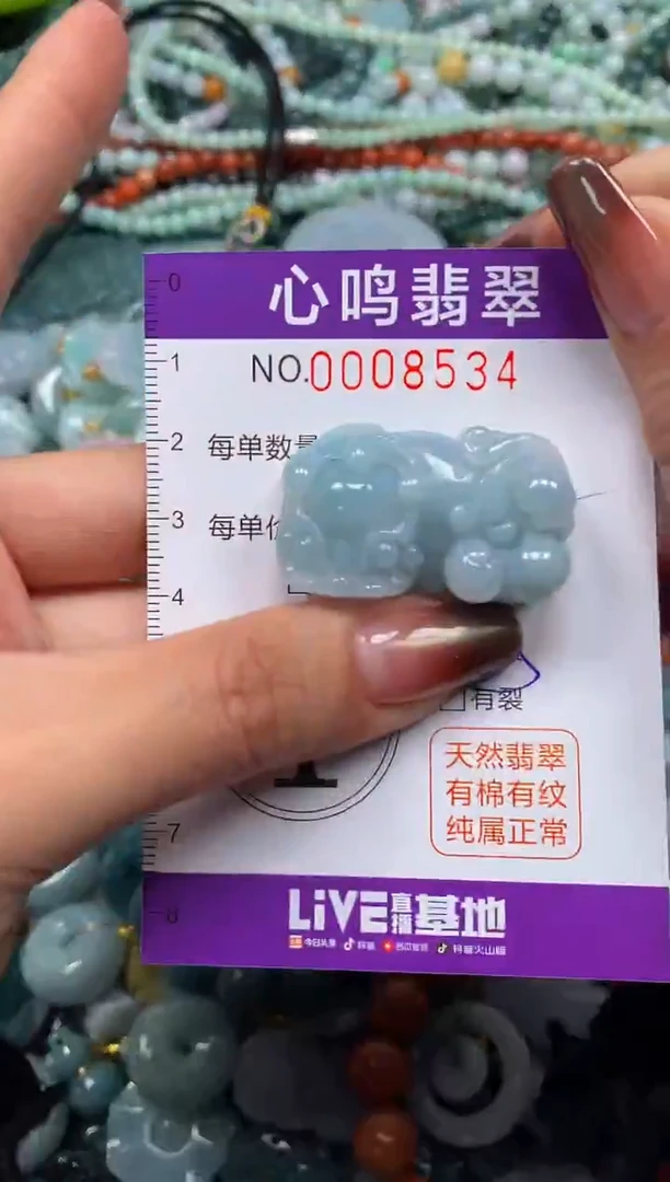 颈饰未镶嵌翡翠闪购008534