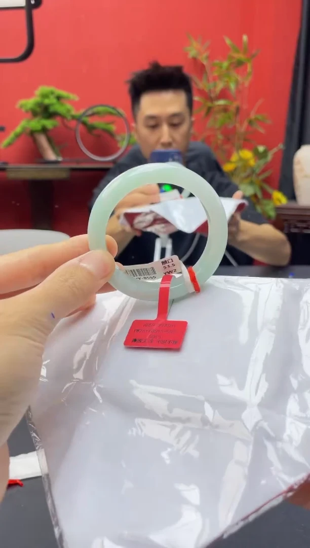 未镶嵌手镯翡翠4