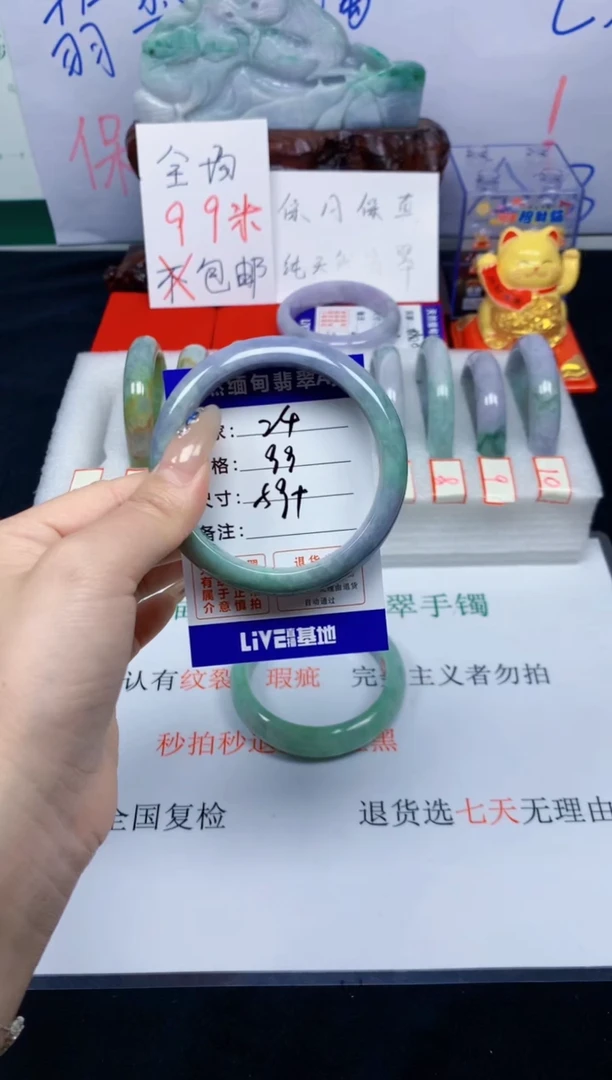 未镶嵌手镯翡翠24