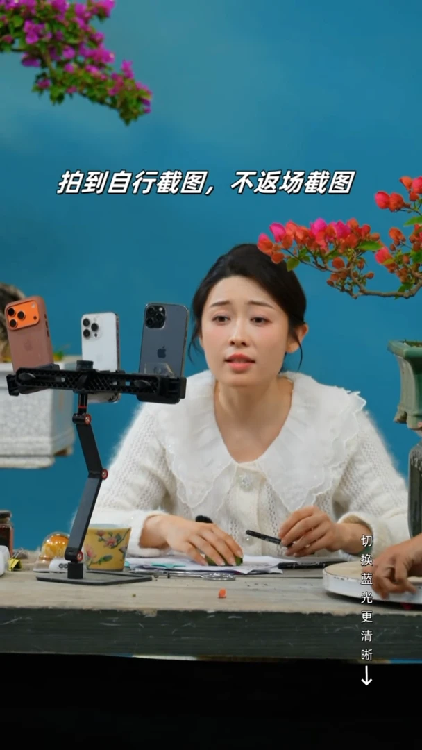 无花朵云*三角梅老桩盆景