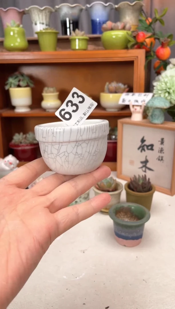 瓷片633知木小芳花盆
