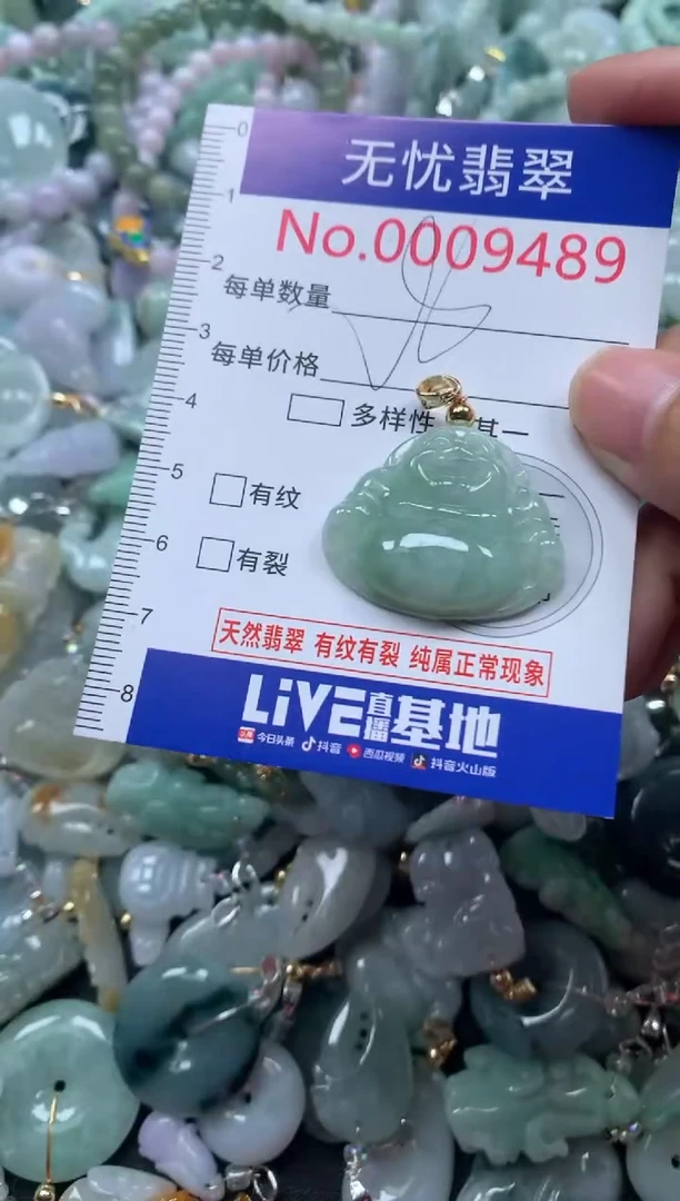 颈饰未镶嵌翡翠9489