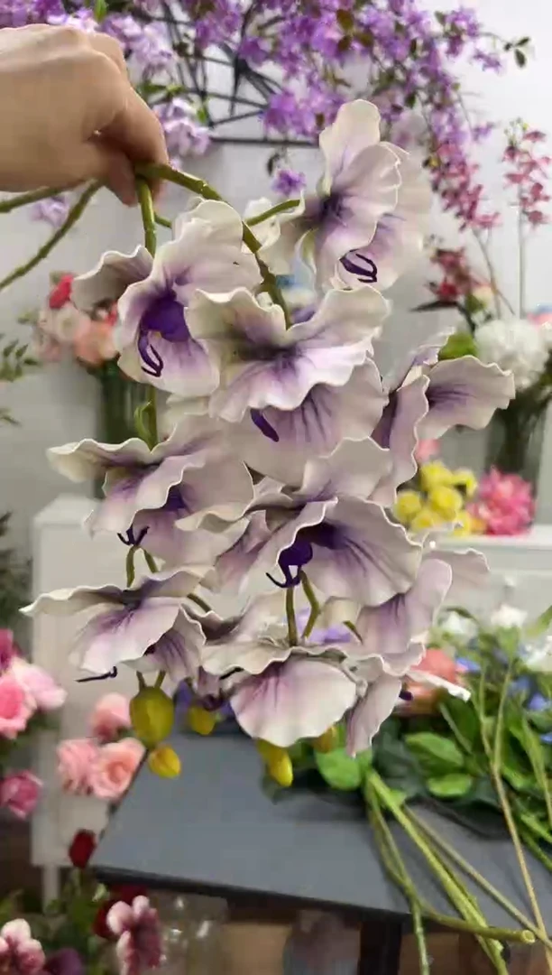 2枝紫色蝴蝶兰