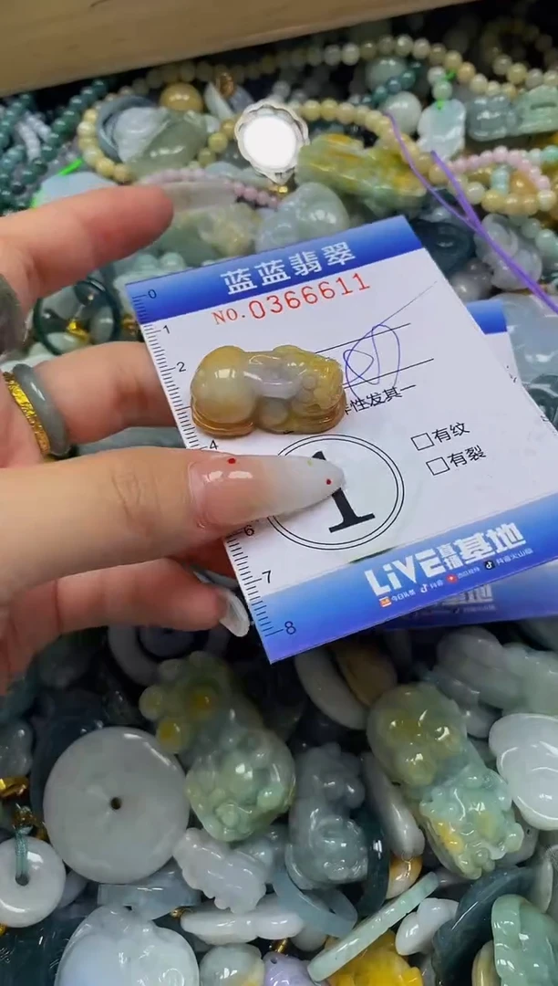 颈饰未镶嵌翡翠闪购0366611