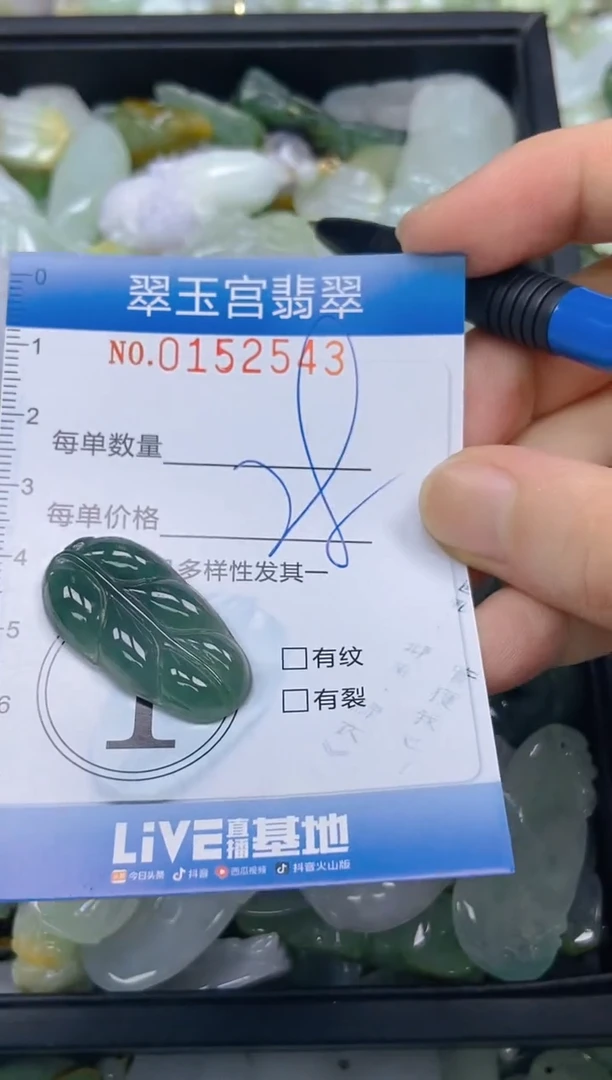 翡翠未镶嵌颈饰闪购0152543
