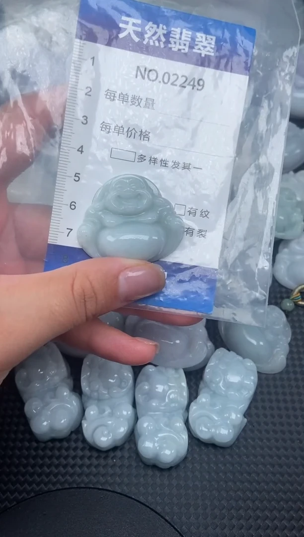 颈饰未镶嵌翡翠纯天然A货翡翠2249