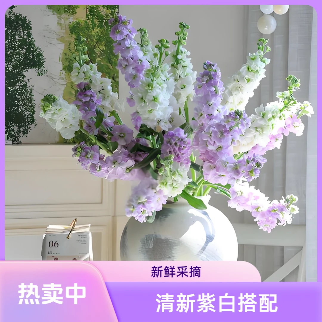 【紫罗兰】应季鲜花即将下市【鲜花娇气】鲜花基地直发【花店同品质】