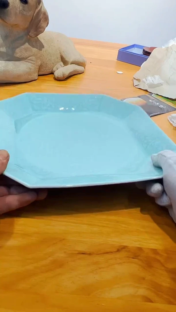 【闪购商品】瓷片a109好好好好好好