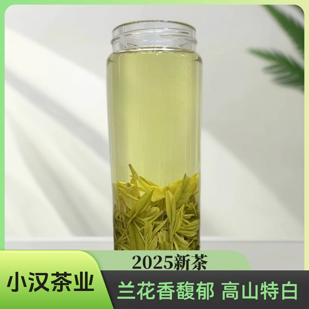 2025新茶【老茶客首选 口粮白茶】A16 浓香耐泡 高山白茶