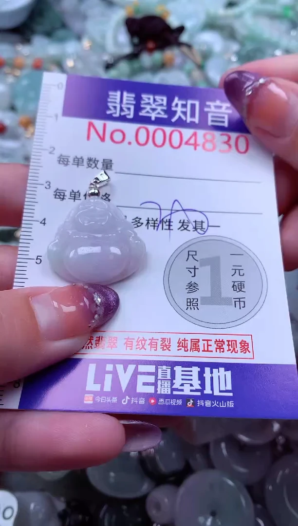 翡翠未镶嵌吊坠(不含链)4830