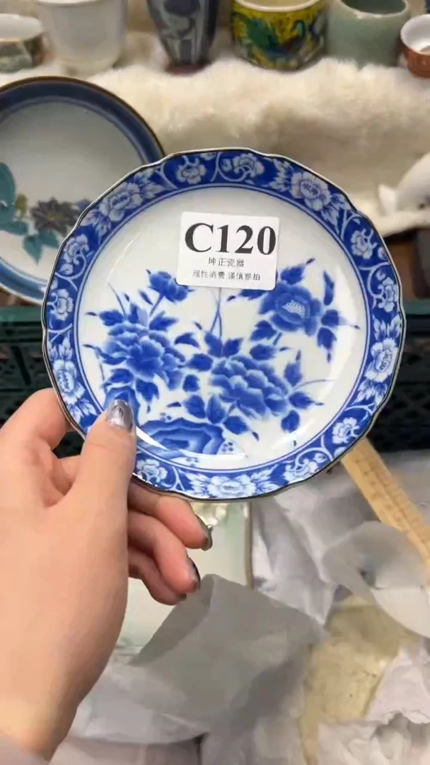 【闪购商品】瓷片          C120