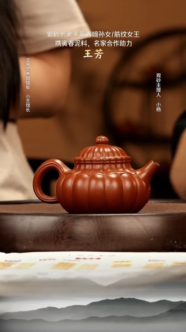 茶壶紫砂40 寅春大红袍筋纹容天240c 紫砂壶W
