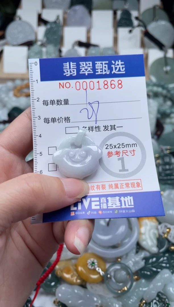 翡翠未镶嵌颈饰00..1868