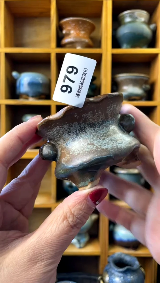 【闪购商品】陶979 内口6.5【喵喵团圆多肉盆】