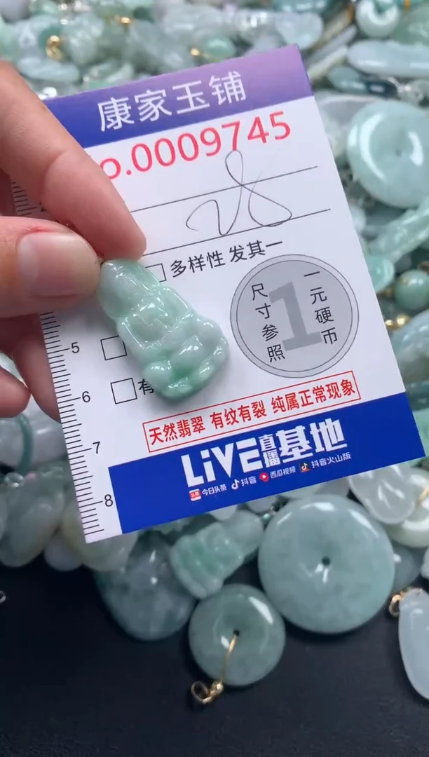 颈饰未镶嵌翡翠9745