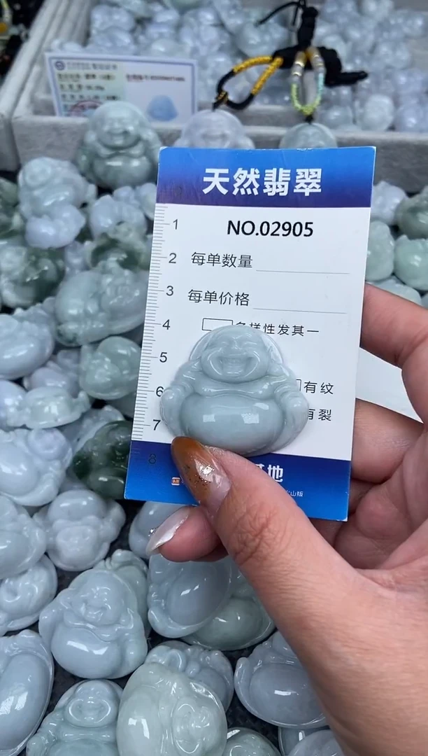 颈饰未镶嵌翡翠纯天然A货翡翠2905