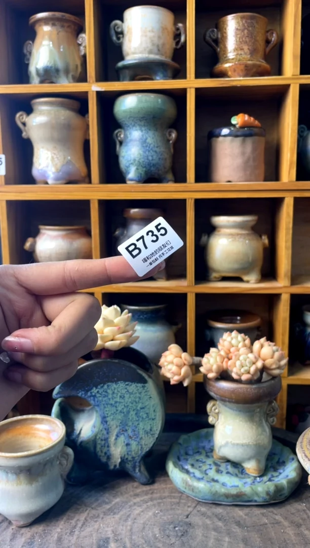 ?***️735【多肉花盆多肉盆】