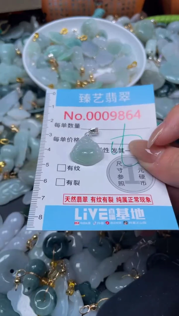 颈饰未镶嵌翡翠9864