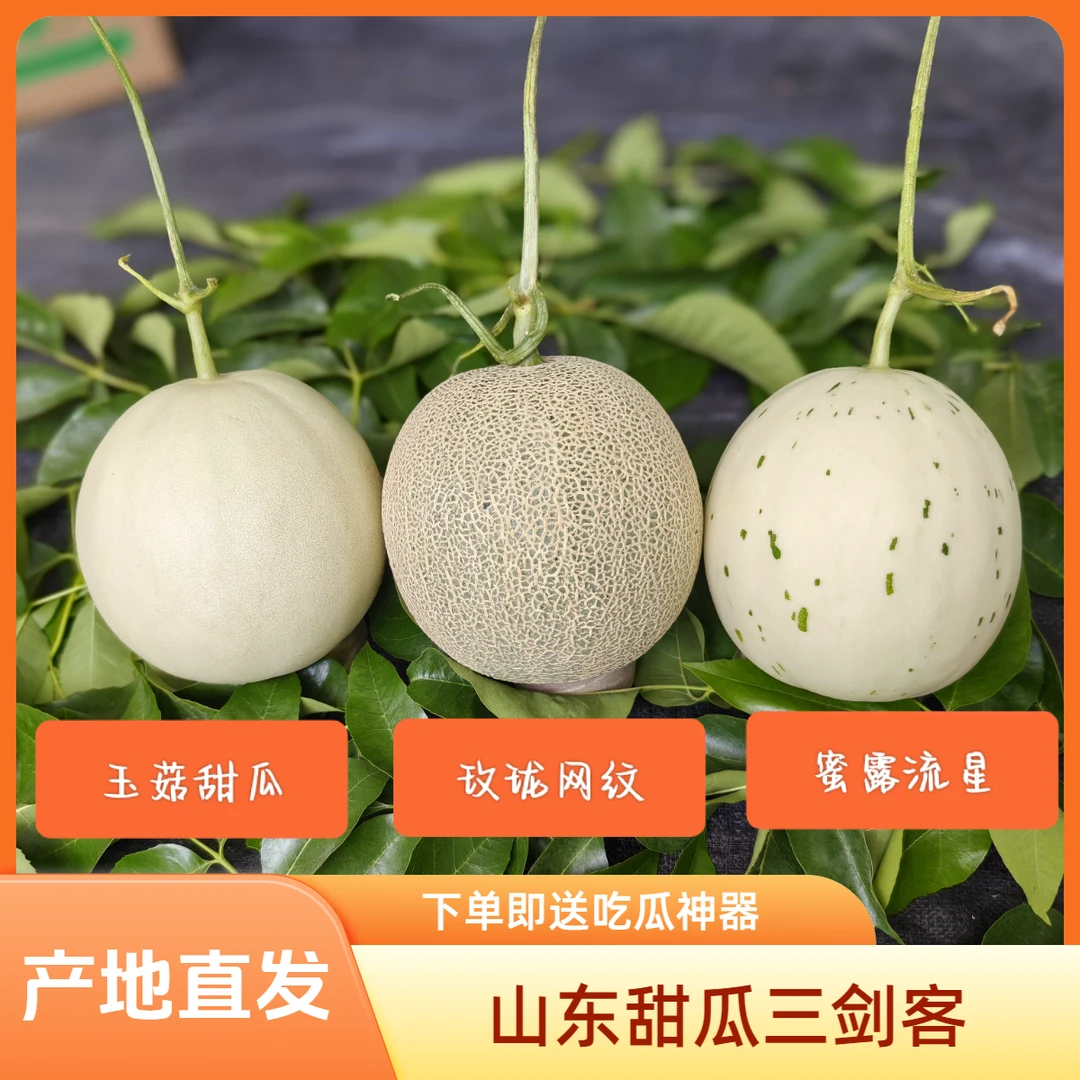 山东甜瓜冰淇淋玉菇枚珑网纹梦露流星蜜瓜组合装水果送勺子