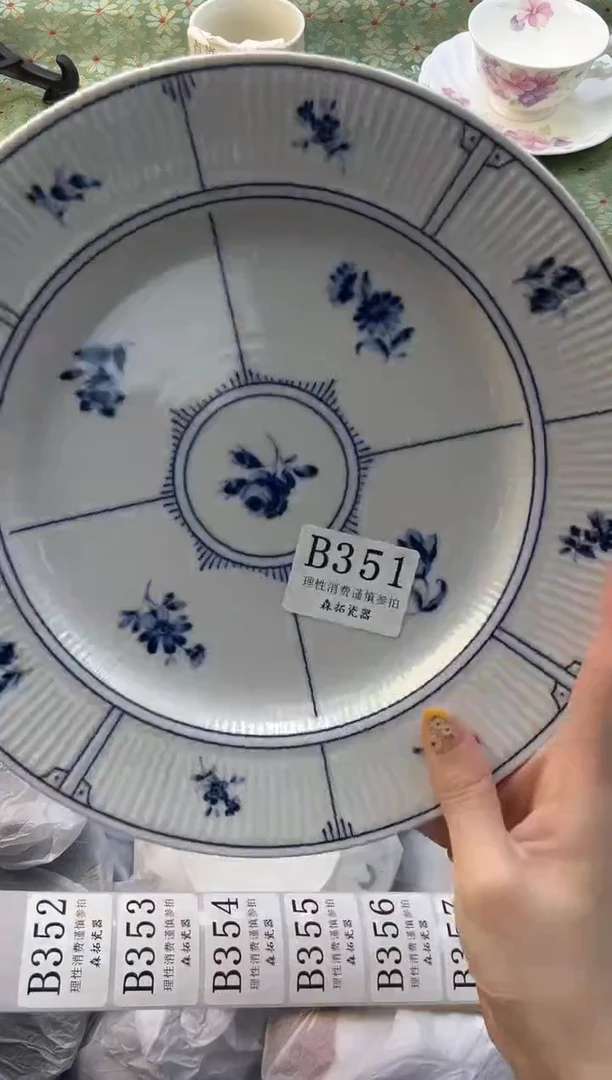 【闪购商品】瓷片          B351