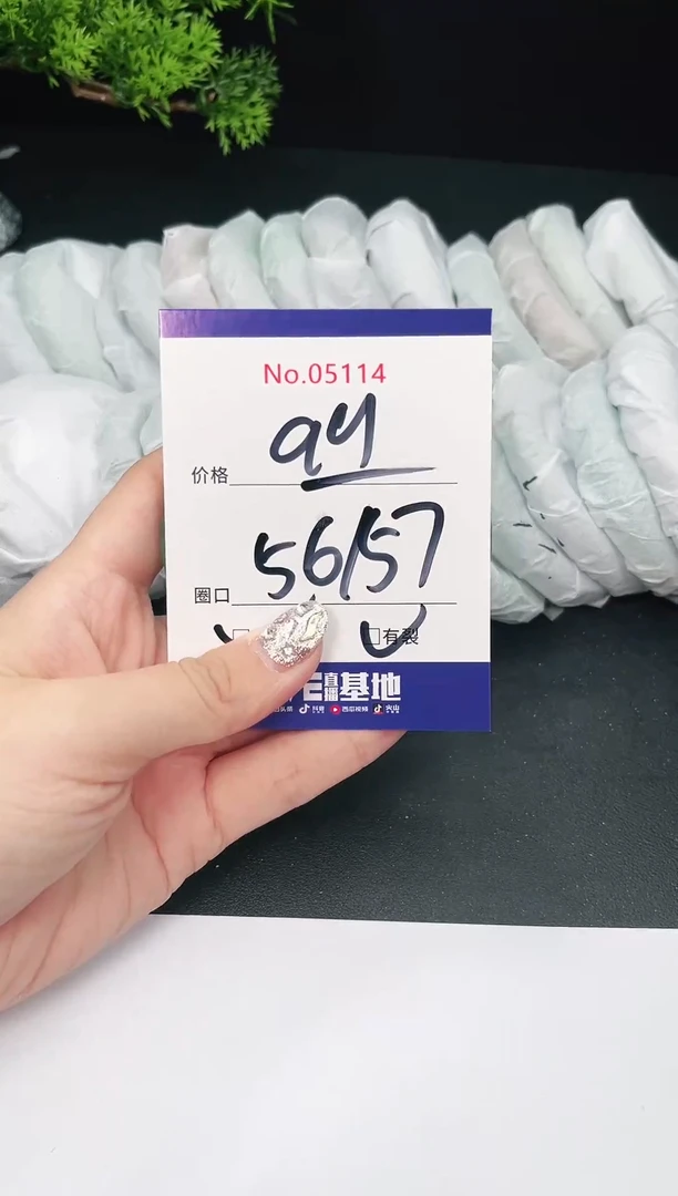 未镶嵌手镯翡翠05114