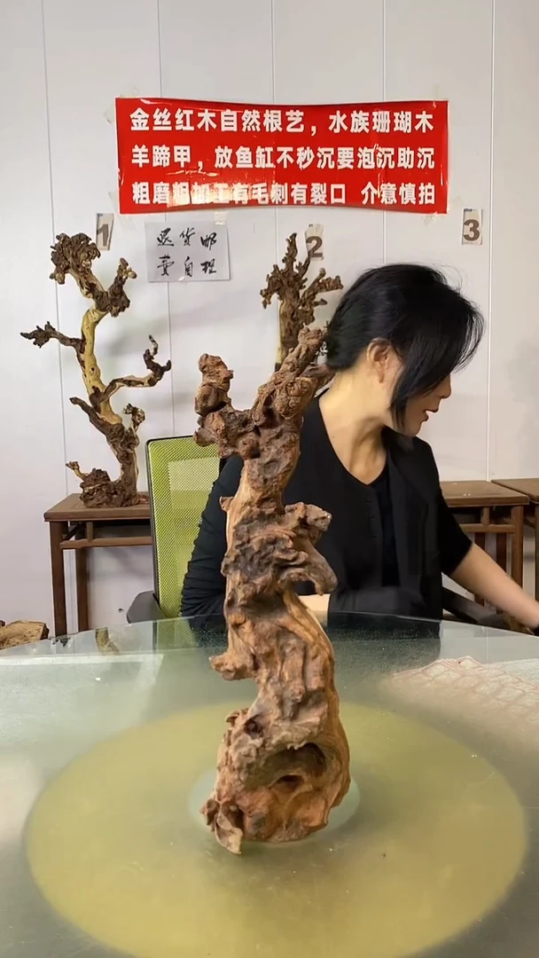 木小*主金丝红木 羊蹄甲