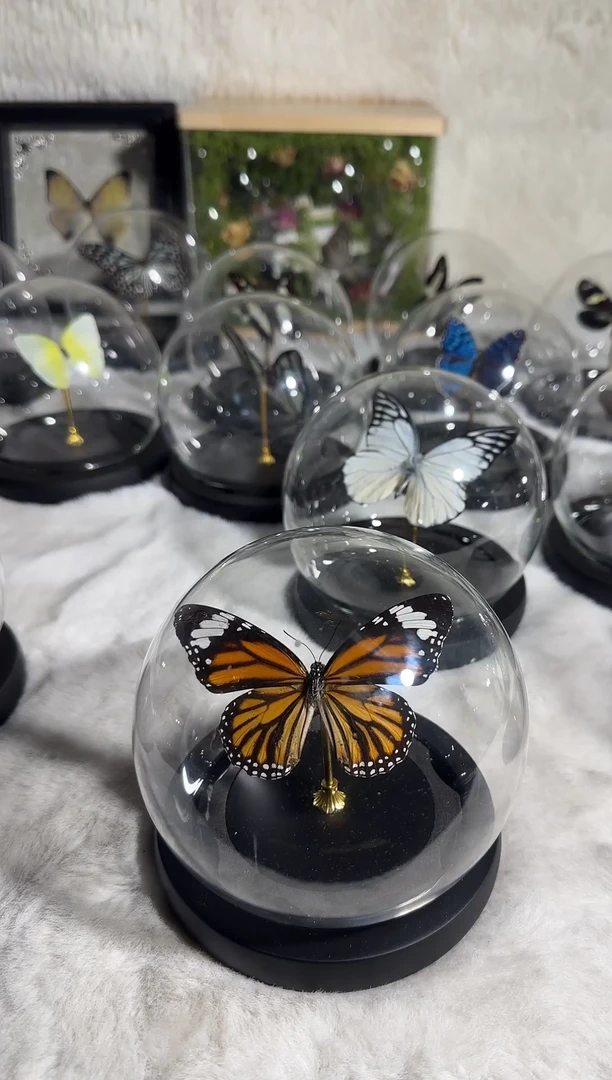 有机玻璃虎斑水晶球