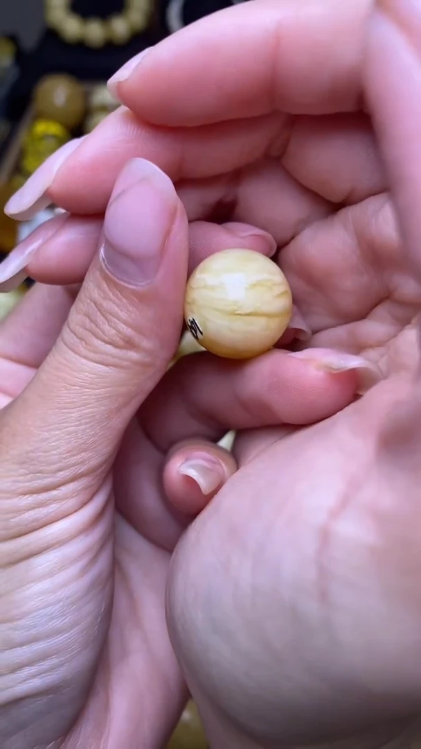 未镶嵌琥珀裸石葵. 64