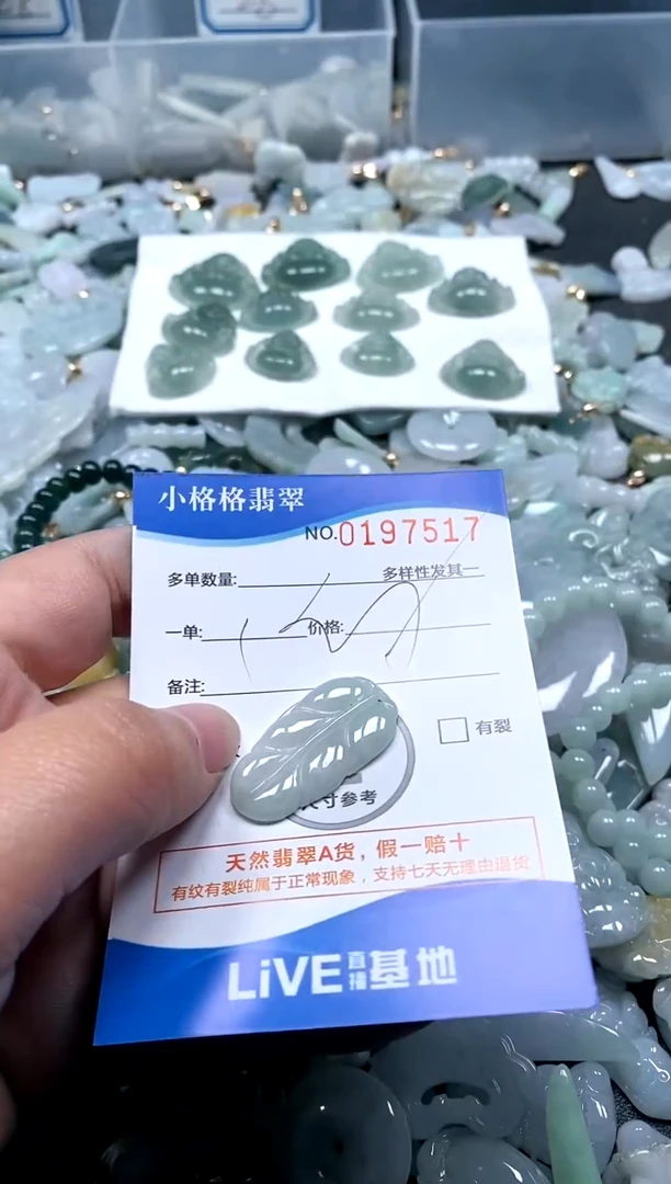 【闪购商品】翡翠颈饰未镶嵌闪购商品0197517