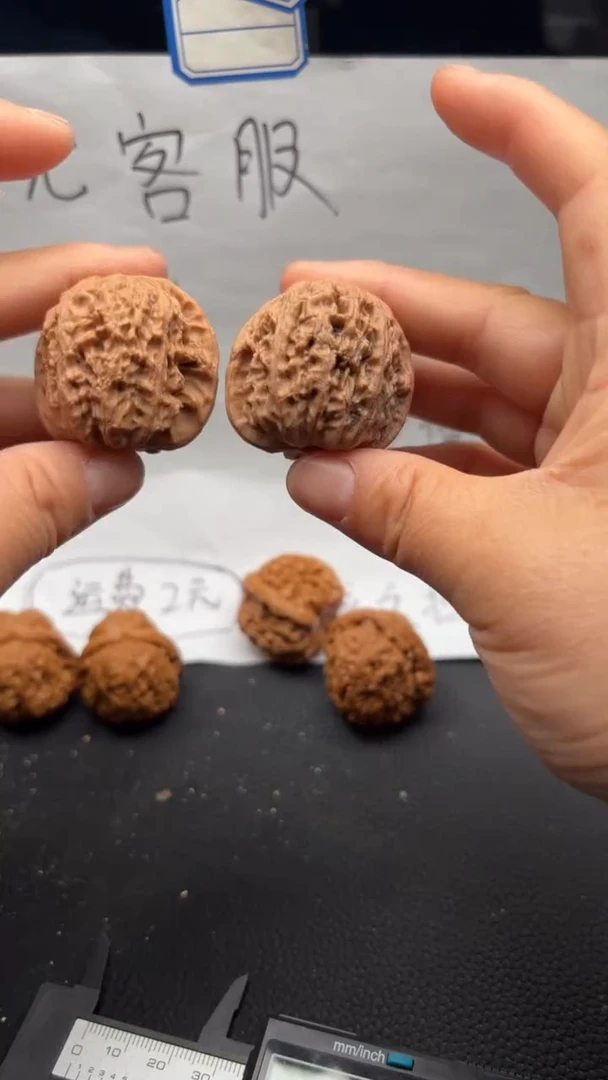 把件文玩核桃322白狮子