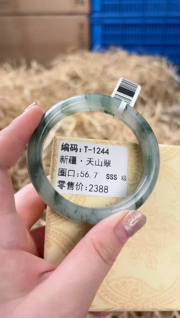 未镶嵌手镯石英质玉T-1244